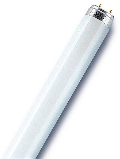 Tube fluorescent droit T8 opaque Osram 950 lm blanc neutre 4000 K