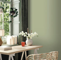 Peinture mur boiserie radiateur Ripolin Vert Gaspésie satinée – 2,5 L
