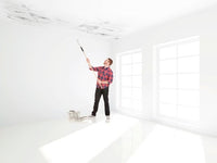Peinture plafond taché blanc mat 2,5 L Luxens