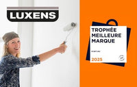 Peinture plafond taché blanc mat 2,5 L Luxens