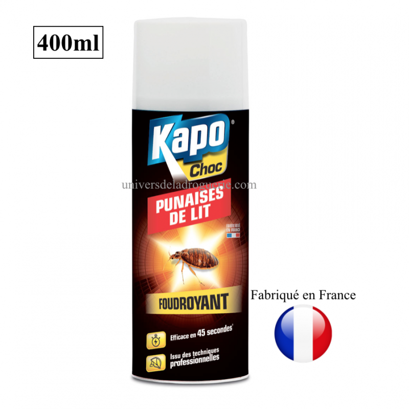 Aérosol foudroyant spécial punaises de lit 400 ml K-pro