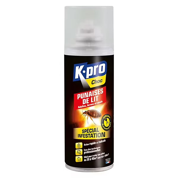 Aérosol insecticide diffusion continue anti punaises de lit 200 ml – K-Pro