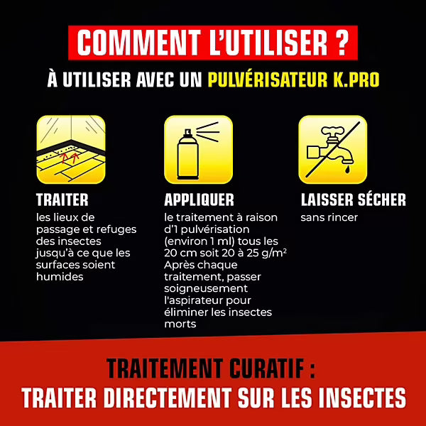 Insecticide anti punaises de lit 2L Kapo Choc